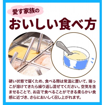 ジェラート アイス ミルク ヒマワリの種 9個セット 　H-11a