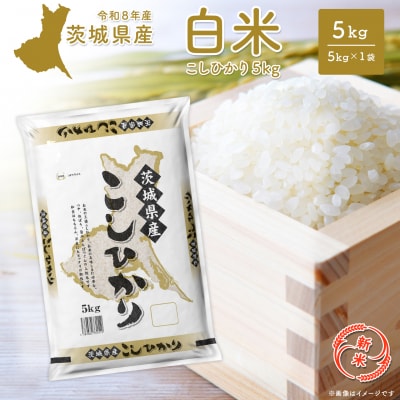 ◎新米◎ コシヒカリ 5kg 米 小分け 茨城県産 2026年産 【令和8年産/白米】K2670