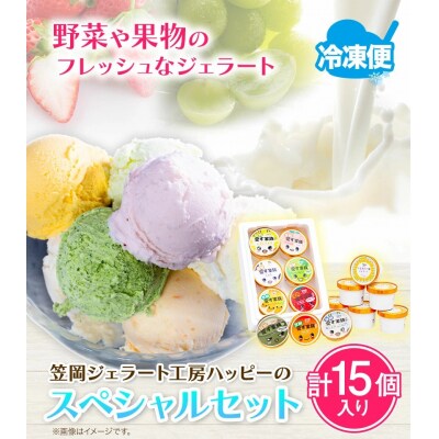 笠岡ジェラート工房「HAPPY」のカップアイス(野菜・果物、ひまわりの種)15個セット 　H-20b