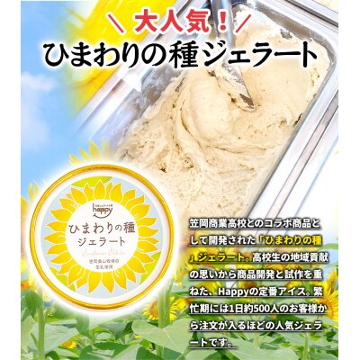 笠岡ジェラート工房「HAPPY」のカップアイス(野菜・果物、ひまわりの種)15個セット 　H-20b