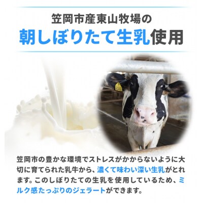笠岡ジェラート工房「HAPPY」のカップアイス(野菜・果物、ひまわりの種)15個セット 　H-20b