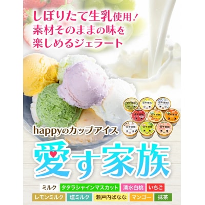 笠岡ジェラート工房ハッピーのカップアイス(愛す家族)9個セット　A-35b