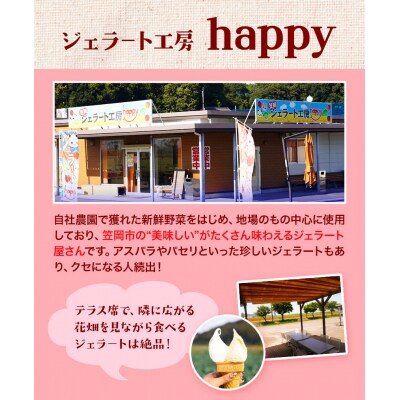 笠岡ジェラート工房ハッピーのカップアイス(愛す家族)15個セット　B-20b