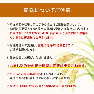 【新米/白米】〈令和8年10月発送〉コシヒカリ10kg 令和8年産 茨城県産 K2654