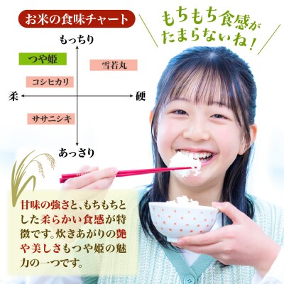 【令和8年産米】2027年2月下旬スタート つや姫30kg(10kg×隔月3回)定期便 山形県産
