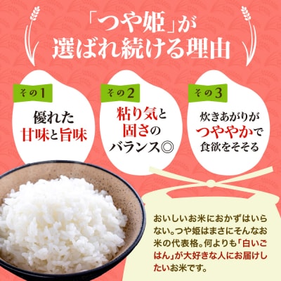 【令和8年産米】2026年10月下旬スタート つや姫30kg(10kg×3ヶ月)定期便 山形県産