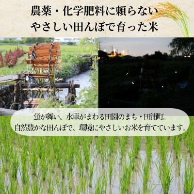【令和8年産新米】米 コシヒカリ 白米 5kg 天皇献上米 (栽培期間中)化学肥料・農薬不使用