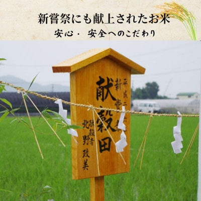【令和8年産新米】玄米 コシヒカリ 5kg 天皇献上米 (栽培期間中)化学肥料・農薬不使用米 小松島