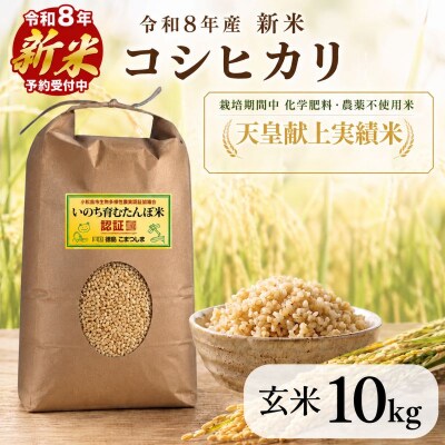 【令和8年産新米】玄米 コシヒカリ 10kg 天皇献上米 (栽培期間中)化学肥料・農薬不使用米 玄米