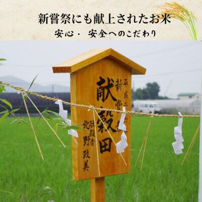 【令和8年産新米】玄米 コシヒカリ 10kg 天皇献上米 (栽培期間中)化学肥料・農薬不使用米 玄米