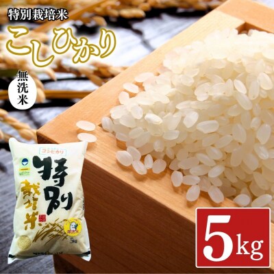 県認証 特別栽培米 コシヒカリ5kg 無洗米 令和8年産 新潟県三条市産 【011S193】
