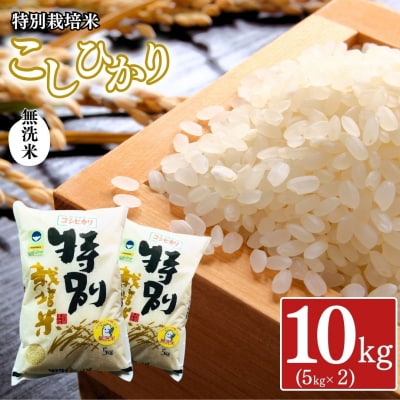 県認証 特別栽培米 コシヒカリ10kg(5kg×2) 無洗米 令和8年産 三条市産【021S058】