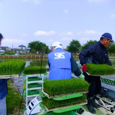 県認証 特別栽培米 コシヒカリ10kg(5kg×2) 無洗米 令和8年産 三条市産【021S058】