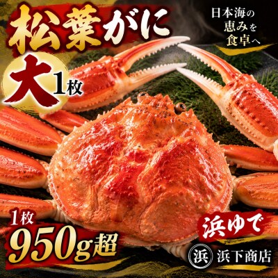 ■浜下商店■松葉ガニ大1枚〔浜ゆで〕(53M.)