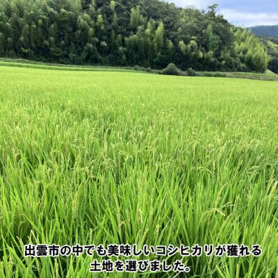 特別栽培米　出雲市産コシヒカリ　10 kg【2_2-014】
