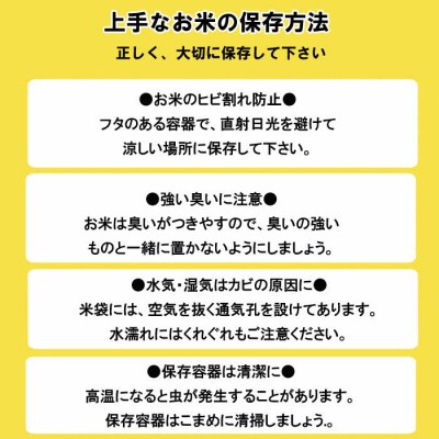 特別栽培米　出雲市産コシヒカリ　10 kg【2_2-014】