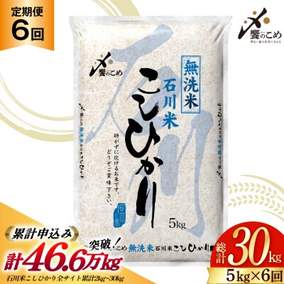 定期便 無洗米 石川米 こしひかり 5kg 6回 総計30kg [宝達志水町 38601337]