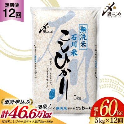 定期便 無洗米 石川米 こしひかり 5kg×12回 総計60kg [38601338]