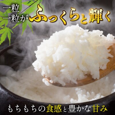 新米 3回 定期便 米 宮城県産 とまたんのひとめぼれ 5kg 計15kg [20566084]