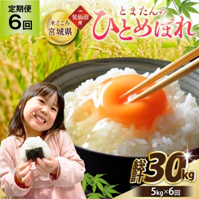 新米 6回 定期便 米 宮城県産 とまたんのひとめぼれ 5kg 計30kg [20566085]