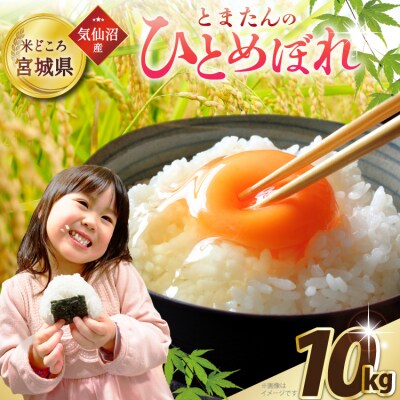 新米 令和8年産 米 宮城県産 とまたんのひとめぼれ 10kg (5kg2袋) [20565647]