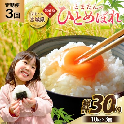 新米 3回 定期便 米 宮城県産 とまたんのひとめぼれ 10kg 計30kg [20566086]