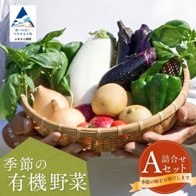 西田農園 季節の野菜詰合せ Aセット 野菜食べ比べ