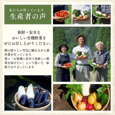 西田農園 季節の野菜詰合せ Aセット 野菜食べ比べ