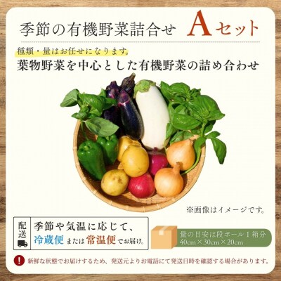 西田農園 季節の野菜詰合せ Aセット 野菜食べ比べ