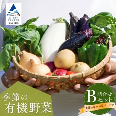 西田農園 季節の野菜詰合せ Bセット 野菜食べ比べ 旬の野菜セット