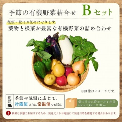 西田農園 季節の野菜詰合せ Bセット 野菜食べ比べ 旬の野菜セット