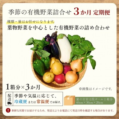 季節の野菜詰合せ 3ヶ月定期便 やさい(約1箱 40cm×30cm×20cm目安)【西田農園】