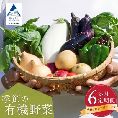 季節の野菜詰合せ 6ヶ月定期便 やさいセット【西田農園】