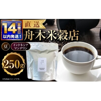 【14営業日以内に発送】 豆 【直送】 舟木米穀店 インドネシア マンデリン 250g