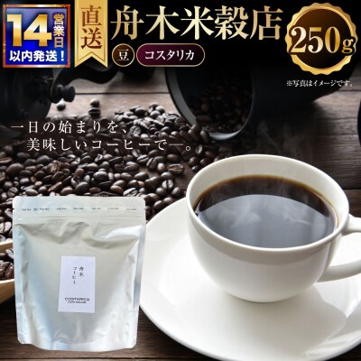 【14営業日以内に発送】 豆 【直送】 舟木米穀店 コスタリカ 250g