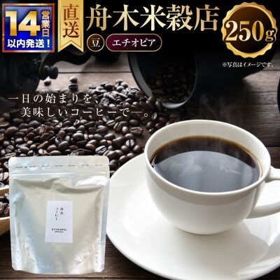 【14営業日以内に発送】 豆 【直送】 舟木米穀店 エチオピア 250g