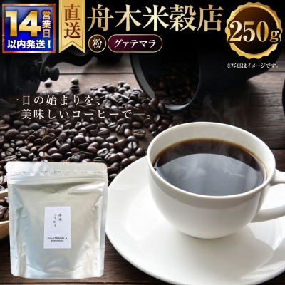 【14営業日以内に発送】 粉 【直送】 舟木米穀店 グァテマラ 250g
