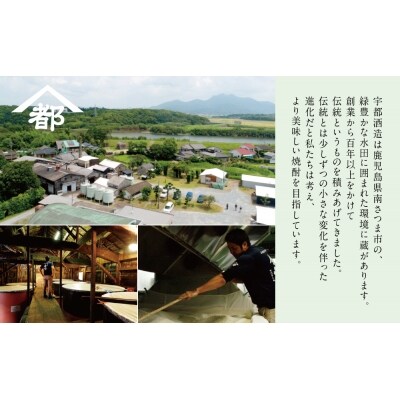 【ふるさと納税限定】本格芋焼酎 厳選銘柄　飲み比べセット(4銘柄 各1本) 贈答用 ギフトセット