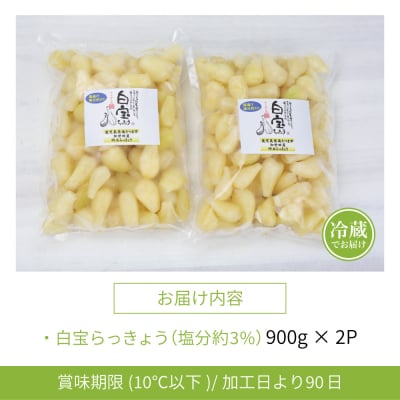 【鹿児島県産】白宝らっきょうの塩漬け 900g×2P