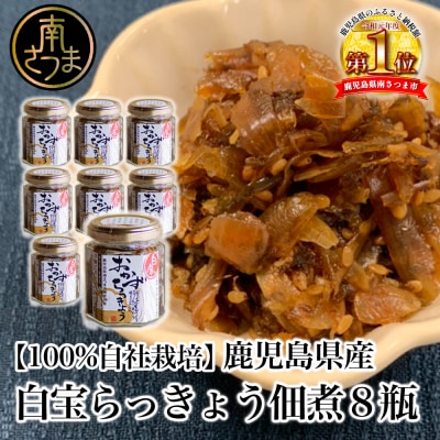 【鹿児島県産】白宝らっきょう佃煮 8個