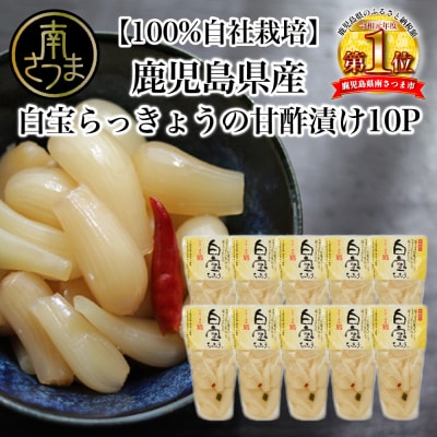 【鹿児島県産】白宝らっきょう(90g×10P)