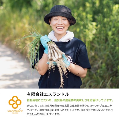 【鹿児島県産】白宝らっきょう(90g×10P)