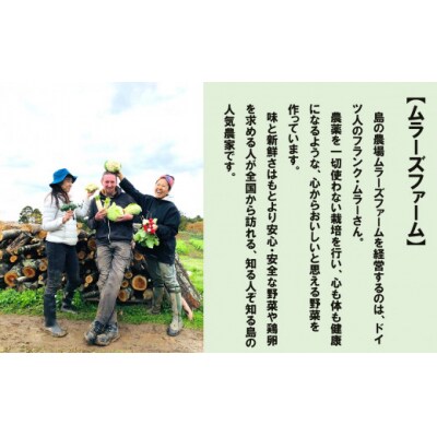 【農家直送】【2027年1月以降順次発送】海士町産 じゃがいも 10kg