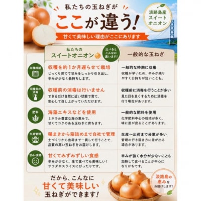  【新玉予約!】淡路島スイートオニオン 淡路島産新玉ねぎ　2.5kg　◆配送3月上旬-6月下旬頃