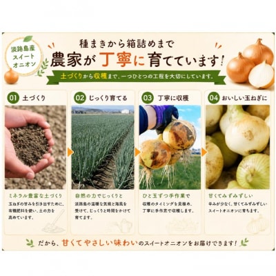  【新玉予約!】淡路島スイートオニオン 淡路島産新玉ねぎ　2.5kg　◆配送3月上旬-6月下旬頃