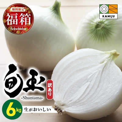 【福箱★2027】訳あり 新玉ねぎ 旬玉 6kg 神重農産のブランド玉ねぎ H105-274