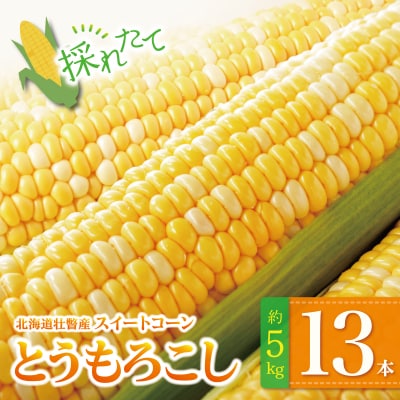 【2027年発送】北海道壮瞥産とうもろこし(スイートコーン)13本 約5kg SBTN001