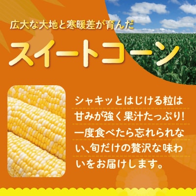 【2027年発送】北海道壮瞥産とうもろこし(スイートコーン)13本 約5kg SBTN001