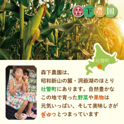【2027年発送】北海道壮瞥産とうもろこし(スイートコーン)13本 約5kg SBTN001