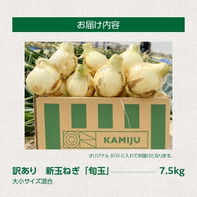 【福箱★2027】訳あり 新玉ねぎ 旬玉 7.5g 神重農産のブランド玉ねぎ H105-275